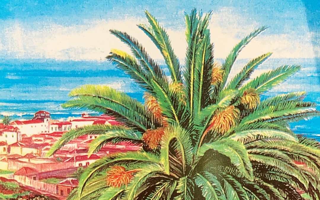 Revista Catharum nº 1 (2000)