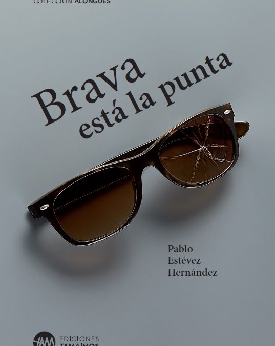 «Brava está la punta», de  Pablo Estévez Hernández,  por Ramón Hernández Armas, profesor del Área de Antropología Social y Cultural de la ULL, y José Miguel Perera, de Ediciones Tamaimos. Jueves 14 de diciembre, 2023.