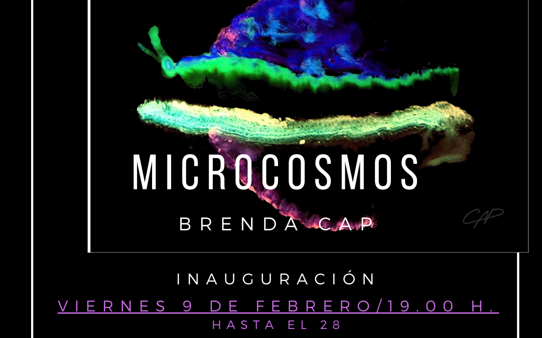 Inauguración de la exposición ‘Microcosmos’, de Brenda Cap (09-02-2024 a 28-02-2024)
