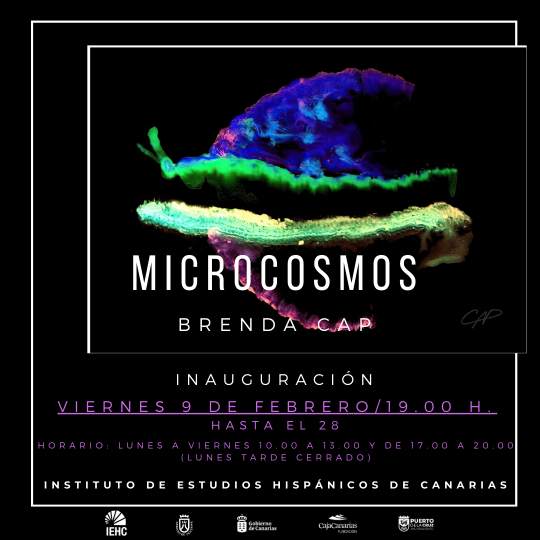 Inauguración de la exposición ‘Microcosmos’, de Brenda Cap (09-02-2024 a 28-02-2024)