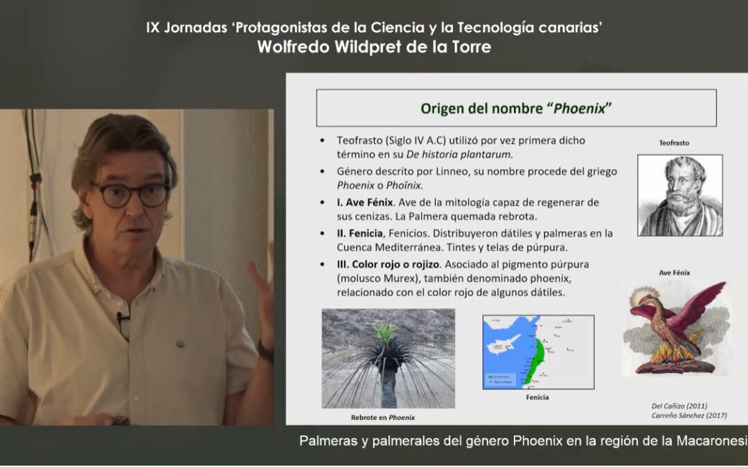 IX Jornadas Protagonistas de la Ciencia y la Tecnología Canarias. «Palmeras y palmerales del género Phoenix en la región de la Macaronesia», a cargo de Pedro Sosa Henríquez (21/10/2024)