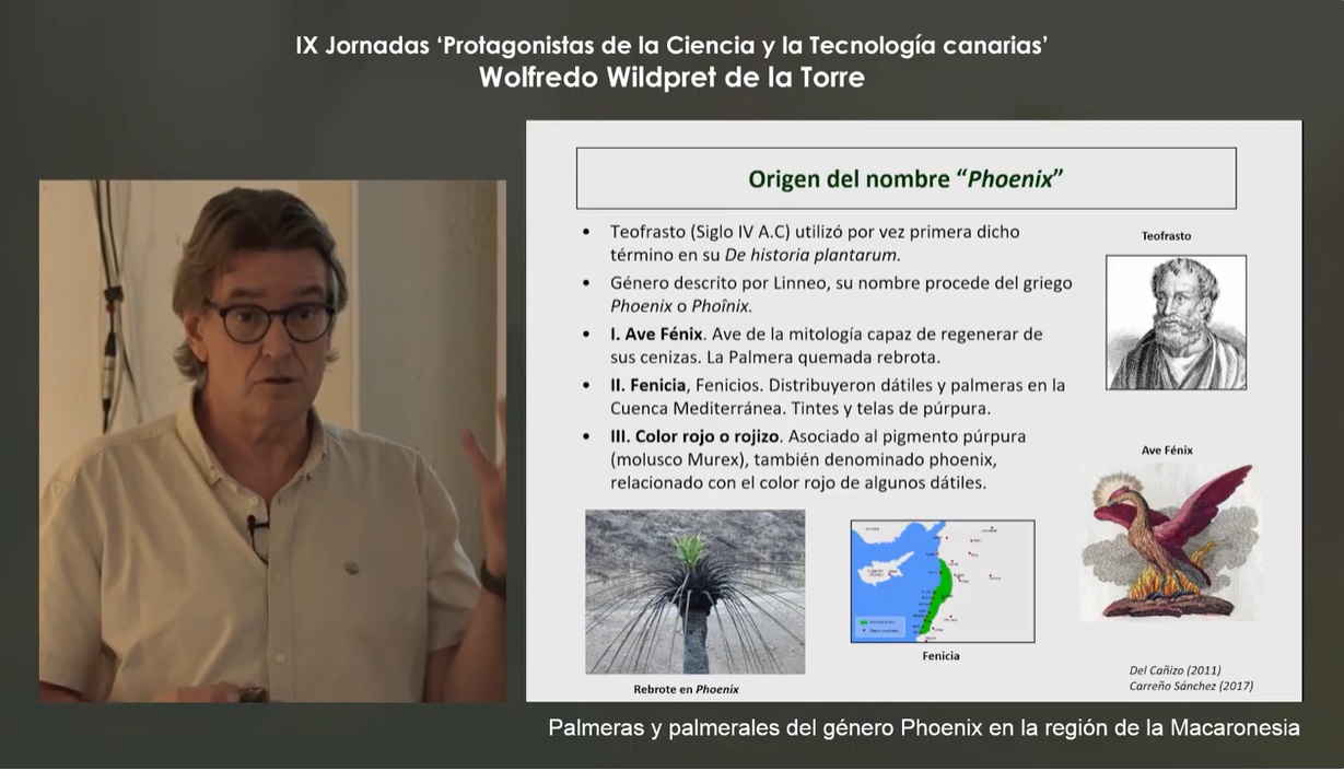 IX Jornadas Protagonistas de la Ciencia y la Tecnología Canarias. «Palmeras y palmerales del género Phoenix en la región de la Macaronesia», a cargo de Pedro Sosa Henríquez (21/10/2024)