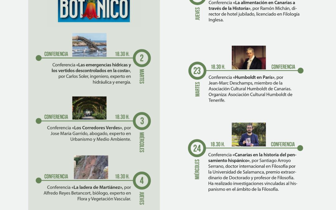 IEHC cultural junio 2026